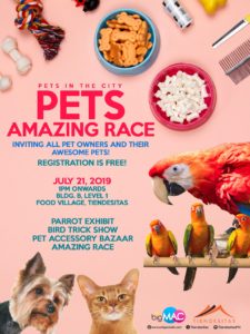 Pets Amazing Race