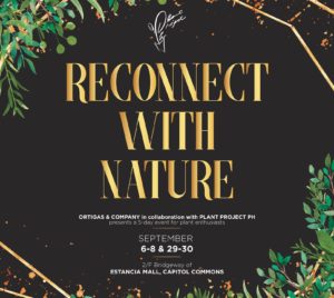 Reconnect With Nature