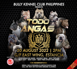 Bully Kennel Club Philippines: Todo Angas at Estancia!